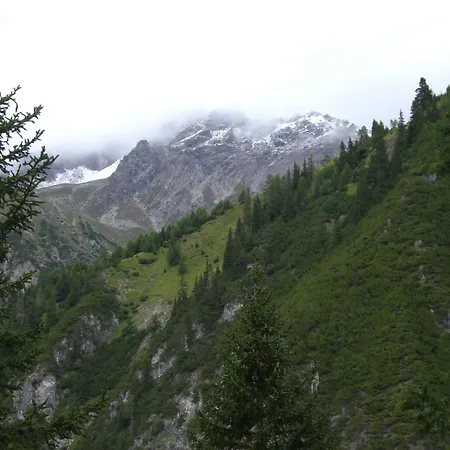 多尔夫施米德旅馆 弗利尔施