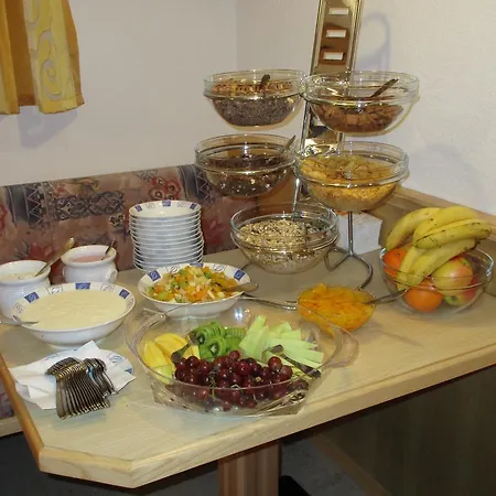 招待所 多尔夫施米德旅馆 3*